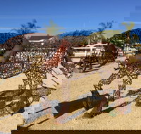 Gundersen Reserve - Sunshine Coast Tourism