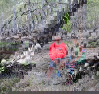 Gunbower Island Forest Drive - Sunshine Coast Tourism