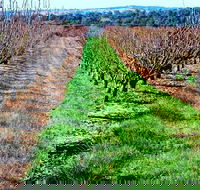 Hall Family Orchards