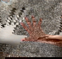 Hands of Fame Park - Holiday Sunshine Coast