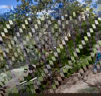Herring Island Environmental Sculpture Park - Sunshine Coast Tourism