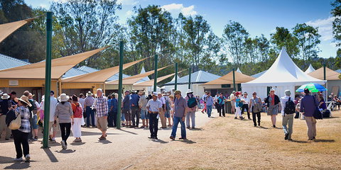 Ivory's Rock Conventions And Events - Holiday Sunshine Coast 2