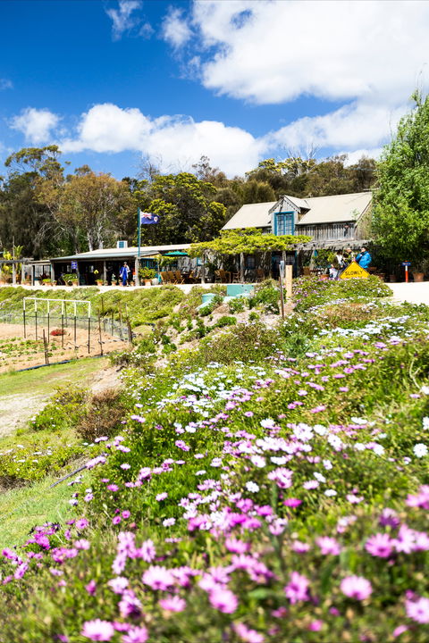 Kate's Berry Farm - Holiday Sunshine Coast 0