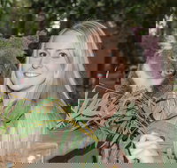 Koala Park Sanctuary - Sunshine Coast Tourism