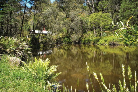 Kurth Kiln Regional Park - Sunshine Coast Tourism 0