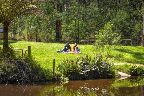 Kurth Kiln Regional Park - Sunshine Coast Tourism 1