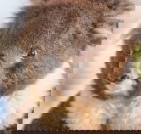Kyabram Fauna Park