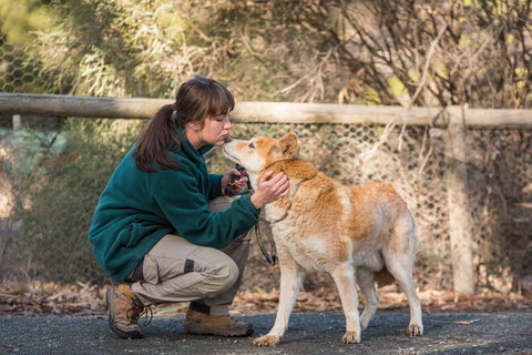 Kyabram Fauna Park - Holiday Sunshine Coast 1
