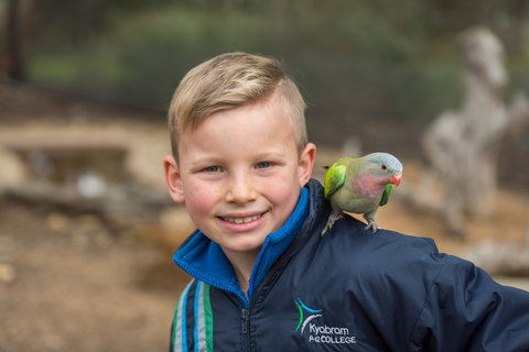 Kyabram Fauna Park - Holiday Sunshine Coast 2