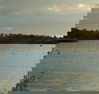 Lake Inverell Reserve - Holiday Sunshine Coast