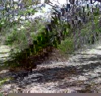 Lanky's Walk - Holiday Sunshine Coast