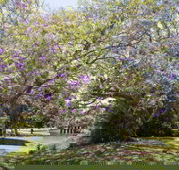 Leis Park - Sunshine Coast Tourism