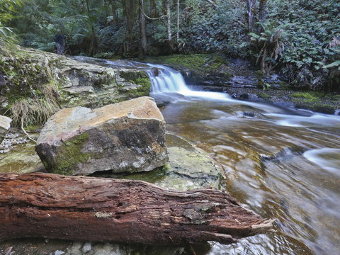Liffey Falls Reserve - Sunshine Coast Tourism 0