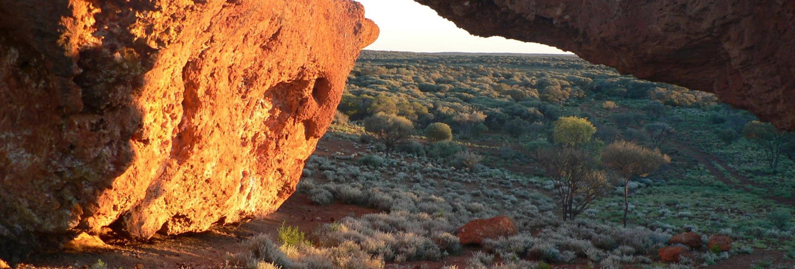 Holiday Sunshine Coast