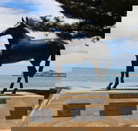 Makybe Diva Statue - Sunshine Coast Tourism