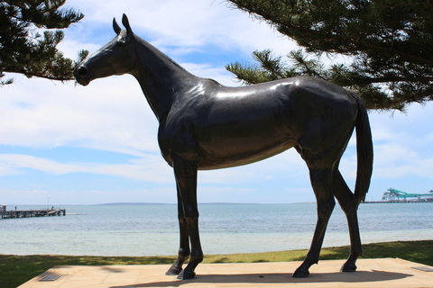 Makybe Diva Statue - Holiday Sunshine Coast 1