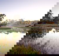 McClelland Sculpture Park  Gallery - Sunshine Coast Tourism