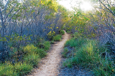 Minerva Hills National Park - Holiday Sunshine Coast 2