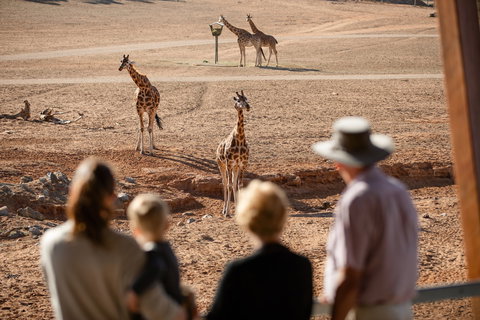 Monarto Safari Park - Holiday Sunshine Coast 0