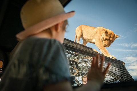 Monarto Safari Park - Holiday Sunshine Coast 2