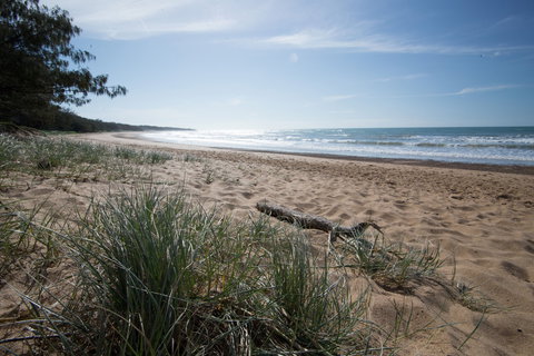 Mon Repos Beach - Holiday Sunshine Coast 1