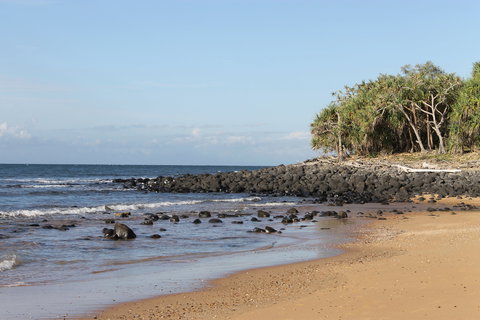 Mon Repos Beach - Holiday Sunshine Coast 2