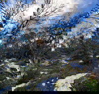 Mount Torbreck Summit Walk - Sunshine Coast Tourism