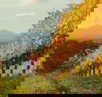 Mount Barker - Sunshine Coast Tourism