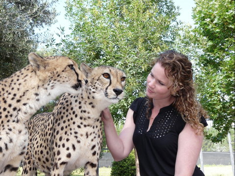 National Zoo & Aquarium - Sunshine Coast Tourism 1