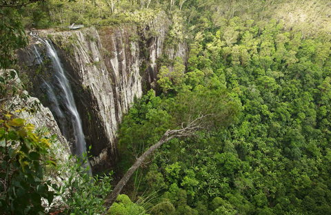 Nightcap National Park - Sunshine Coast Tourism 0