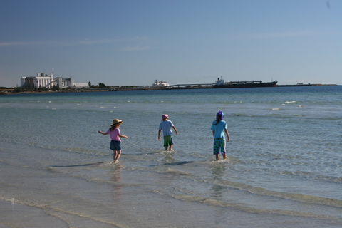 North Beach, Wallaroo - Sunshine Coast Tourism 1