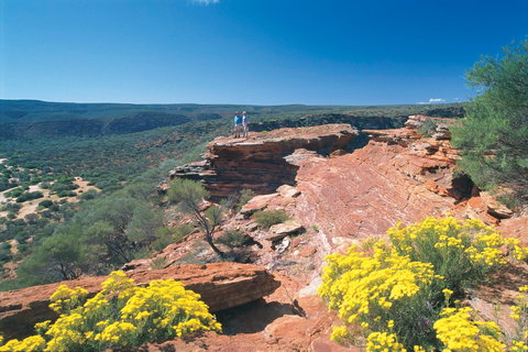 Northern Explorer Wildflower Trail - Sunshine Coast Tourism 1