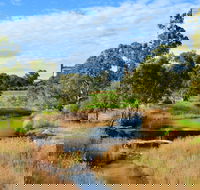 Owen  Hamley Bridge - Sunshine Coast Tourism