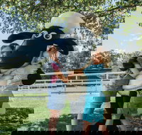 Paradise Country - Holiday Sunshine Coast