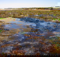 Point Danger Marine Sanctuary - Holiday Sunshine Coast