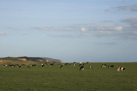Port Campbell - Sunshine Coast Tourism 2