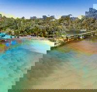 Reflections Boambee Creek Reserve - Sunshine Coast Tourism