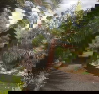 Roraima Nursery and Cafe - Holiday Sunshine Coast