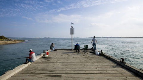 San Remo - Sunshine Coast Tourism 0