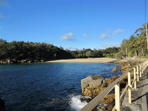 Shelly Beach: Manly - Sunshine Coast Tourism 0