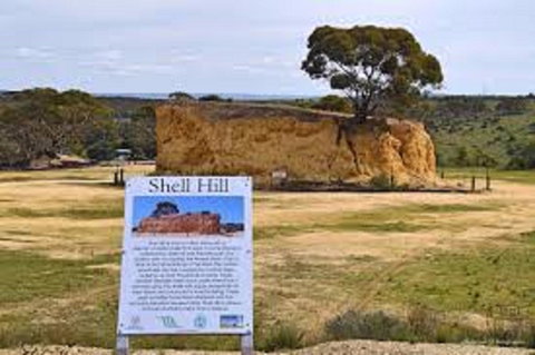 Shell Hill Reserve - Holiday Sunshine Coast 0
