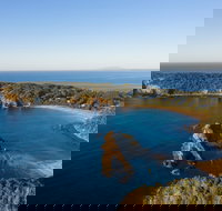 Snorkelling Guerilla Bay - Sunshine Coast Tourism