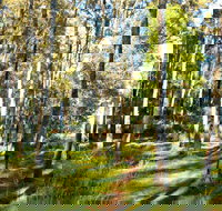 Square Head Track 1 - Sunshine Coast Tourism