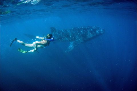 The Warlu Way - Holiday Sunshine Coast 1