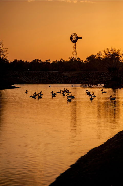 Thomson River, Longreach - Sunshine Coast Tourism 2