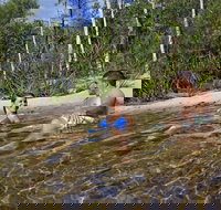 Tjaynera Falls Sandy Creek - Sunshine Coast Tourism