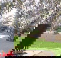 Trangie Big Billy - Holiday Sunshine Coast