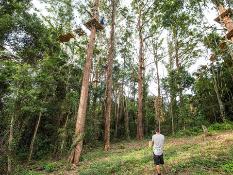 TreeTop Challenge - Sunshine Coast - Holiday Sunshine Coast 1