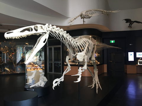 UNE Natural History Museum - Holiday Sunshine Coast 0