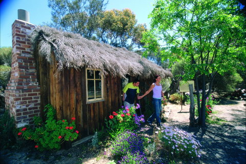 Wagin - Sunshine Coast Tourism 1